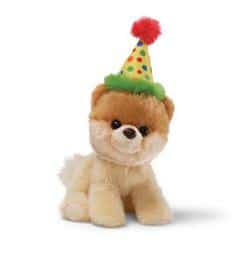 Boo the Dog | Itty Bitty Boo Birthday #5