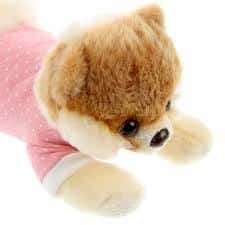 Boo the Dog | Itty Bitty Boo #011 Pink
