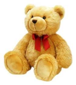 Large Teddy Bear Harry Honey