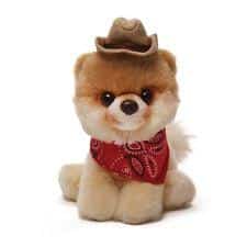 Boo the Dog | Itty Bitty Boo Cowboy #16