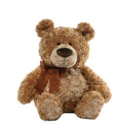 Gund Flynn Small teddy