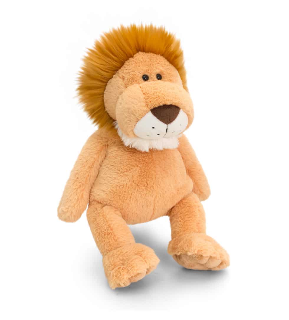 Personalised Lion Teddy