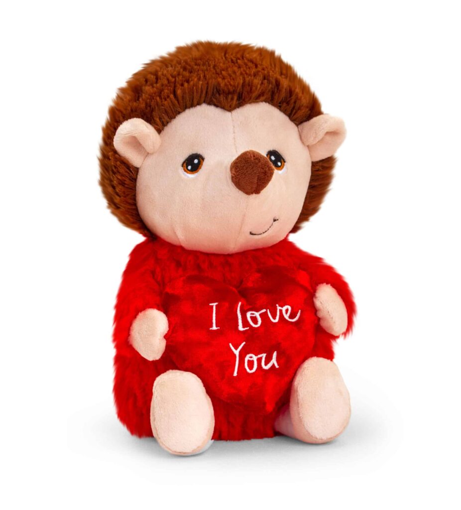 Hedgehog Valentines Teddy