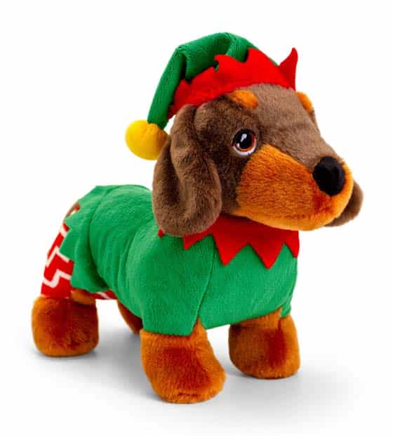 Dachshund In Christmas Outfit