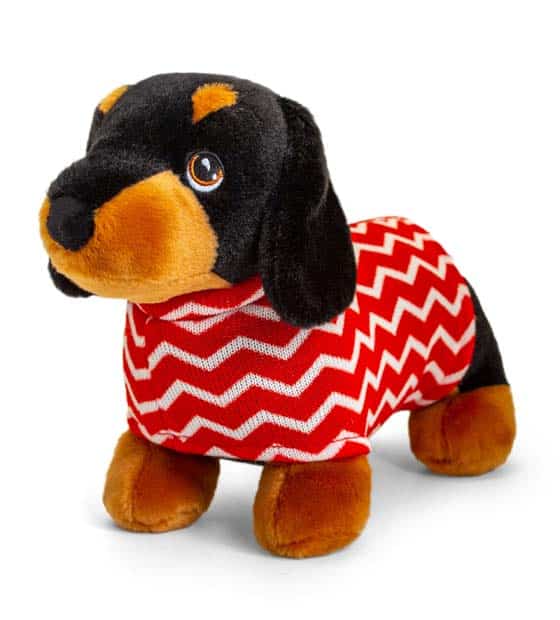 Dachshund In Christmas Coat