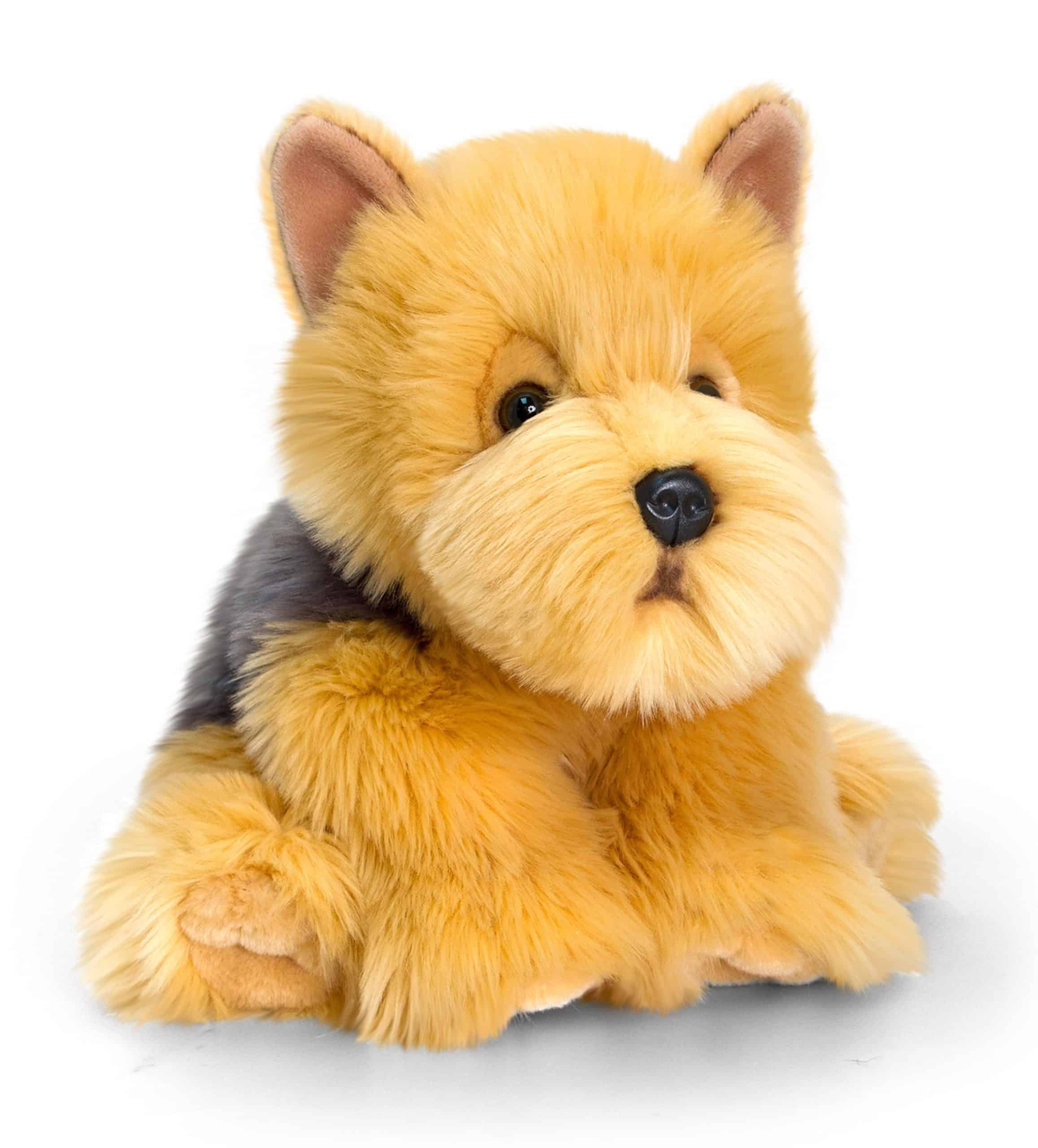 Cairn Terrier