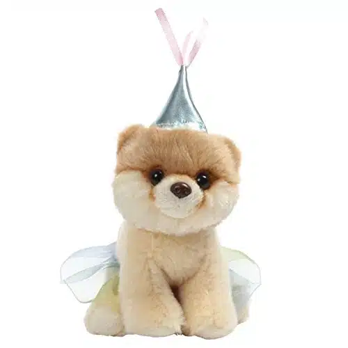 Boo the Dog | Itty Bitty Boo Princess