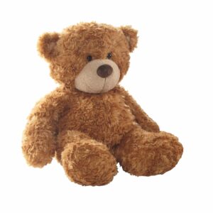 Personalised Bonnie Brown Teddy Bear
