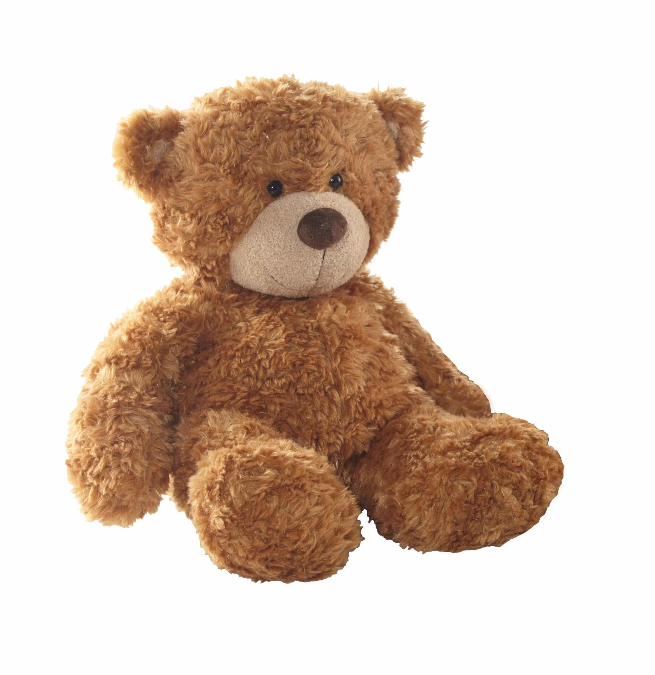 Personalised Bonnie Brown Teddy Bear