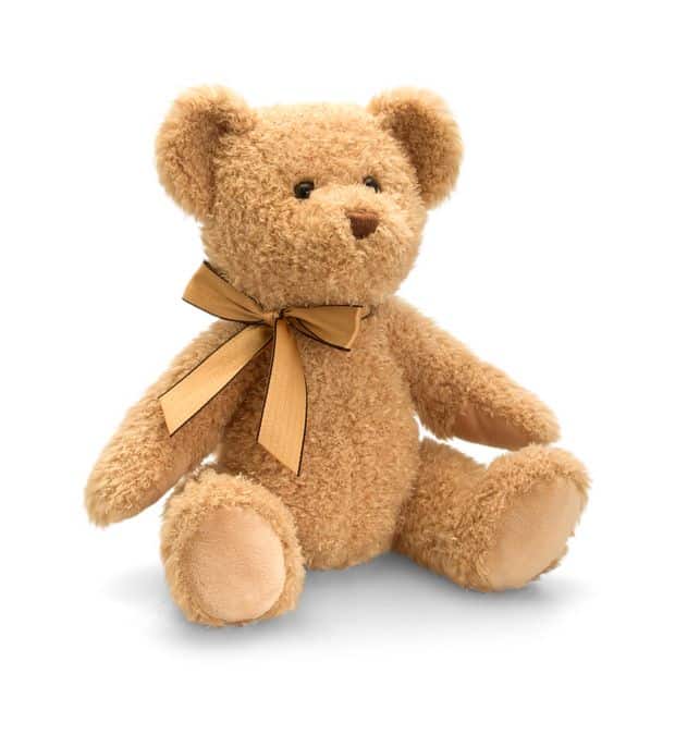 Personalised 25cm Windsor Teddy Bear