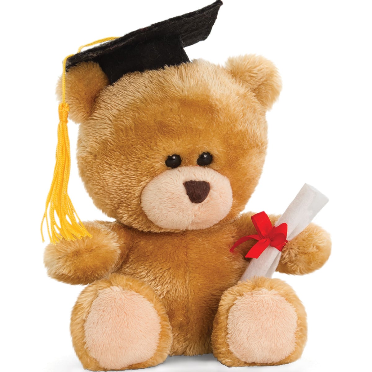 Pippin Graduation Bear